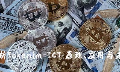 深入解析Tokenim ICT：原理、应用与未来发展