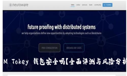 IM Tokey 钱包安全吗？全面评测与风险分析