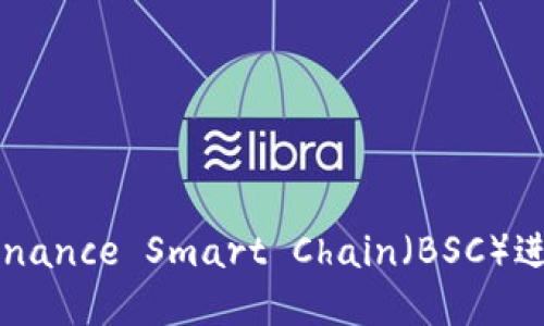 如何在IM钱包中使用Binance Smart Chain（BSC）进行交易和管理数字资产