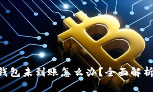 : imToken钱包未到账怎么办？全面解析与解决方案