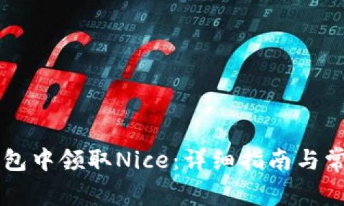 如何在im钱包中领取Nice：详细指南与常见问题解答