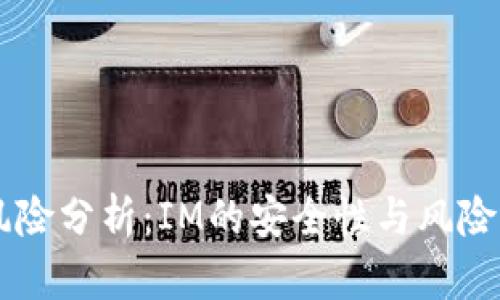 IM风险分析：IM的安全性与风险管理